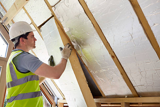 Best Spray Foam Insulation  in Kachina Village, AZ